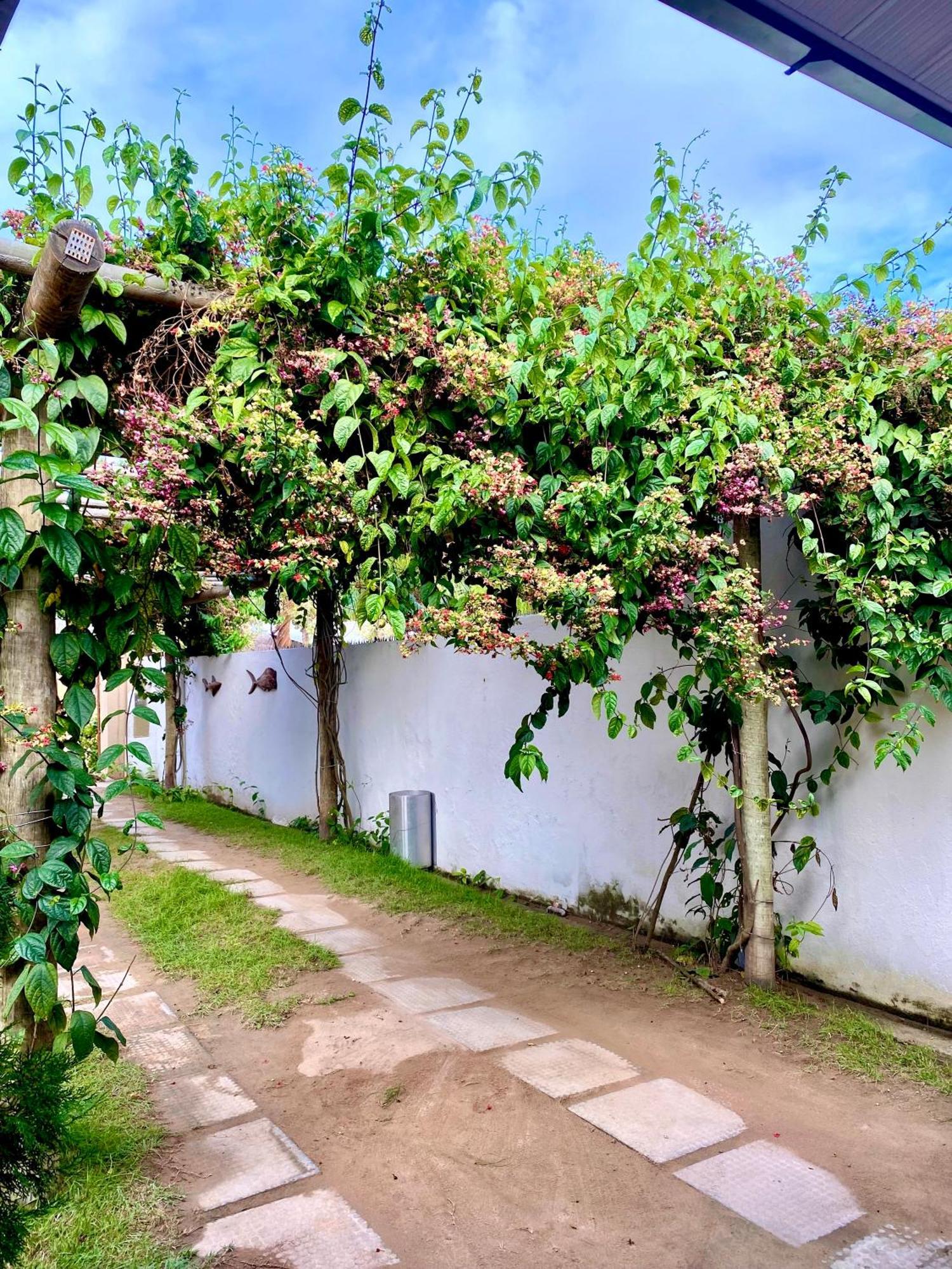 Pousada Paraiso Dos Milagres São Miguel dos Milagres Exteriér fotografie